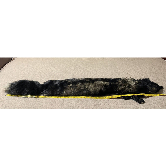 Vintage 1950s Glamour Authentic Large Black Silver Fox Fur Taxidermy Stole Scarf - Picture 5 of 7
